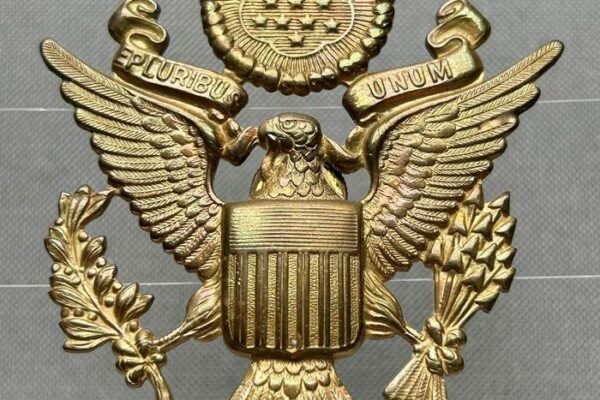 USA Army 25 Jumper Badge: Meaning, History, and Legacy