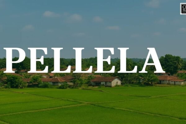 Pellela Keyword Meaning, Branding Power, and Digital Growth